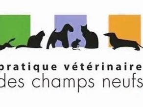New veterinary partner