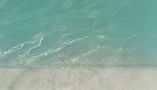 IMG_0294_edited_edited.jpg