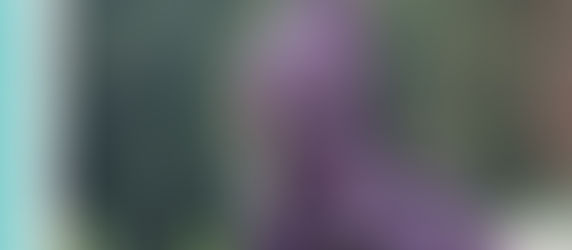 写真展のお知らせ