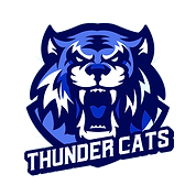 Thundercats Clear Background.png