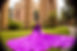 EXOTIC PURPLE 2.jpg