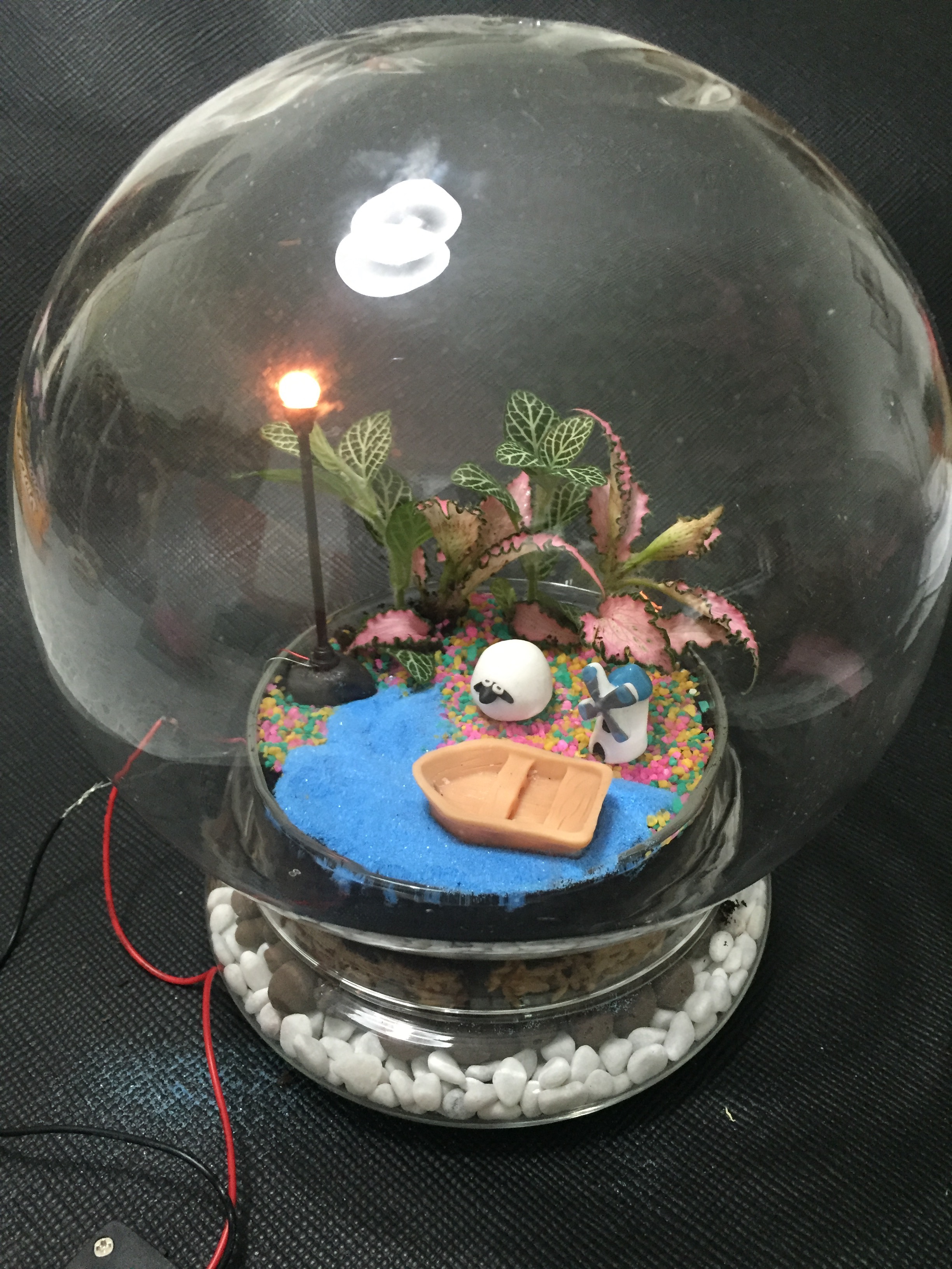 Candy Bulb Terrarium