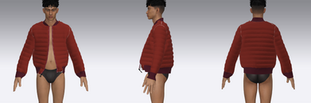 CLO3D Designs