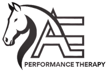 Performace theraoy_edited_edited.png