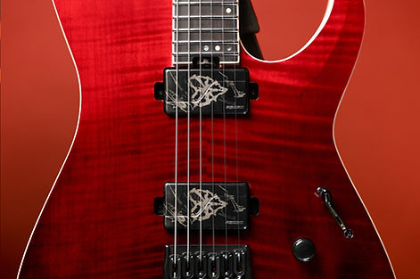 AW6S In Guitar.jpg