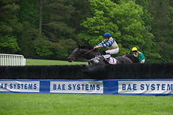 Steeplechase Fencing