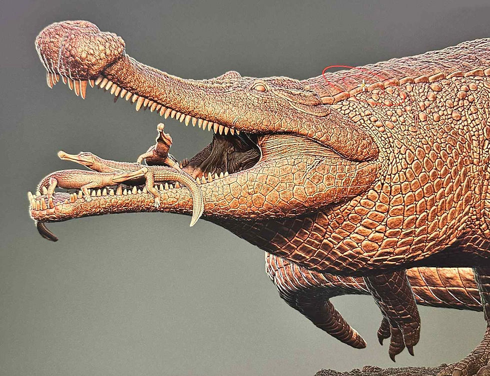 Thumbnail: Scientifically Accurate Sarcosuchus Model Kit – 1:20 Scale Resin Collector Model