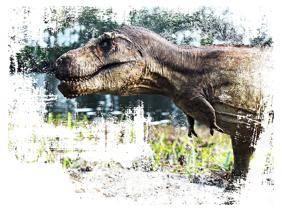 MRAMIERI-SIA-OUTSIDE-208 copy.jpg