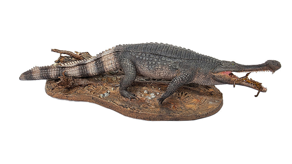サムネイル： Scientifically Accurate Sarcosuchus Model Kit – 1:35 Scale Resin Collector Model
