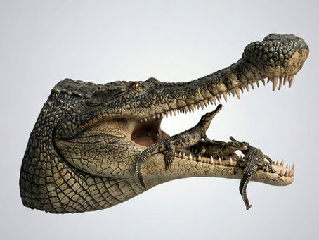 A prehistoric crocodile with hatchlings in its mouth.