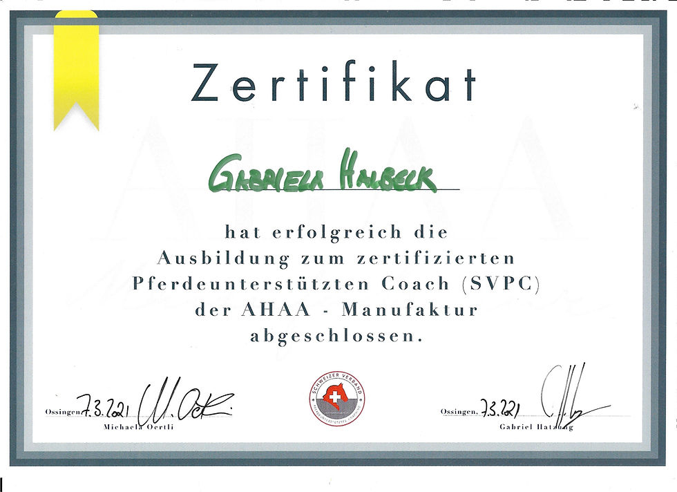 Zertifikat Pferdeunterstützten Coach.jpg