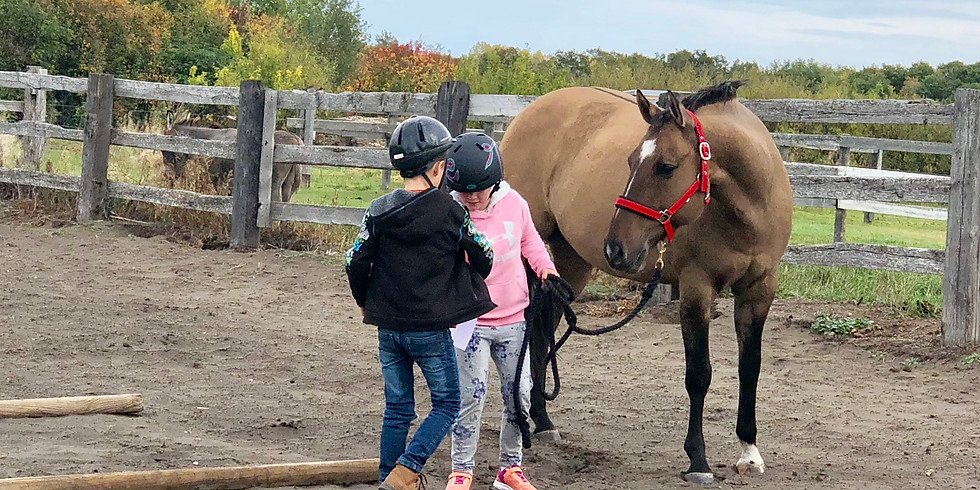 Equine Assisted Learning - Summer Camp