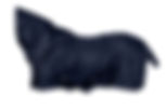 NRG-200.JPG