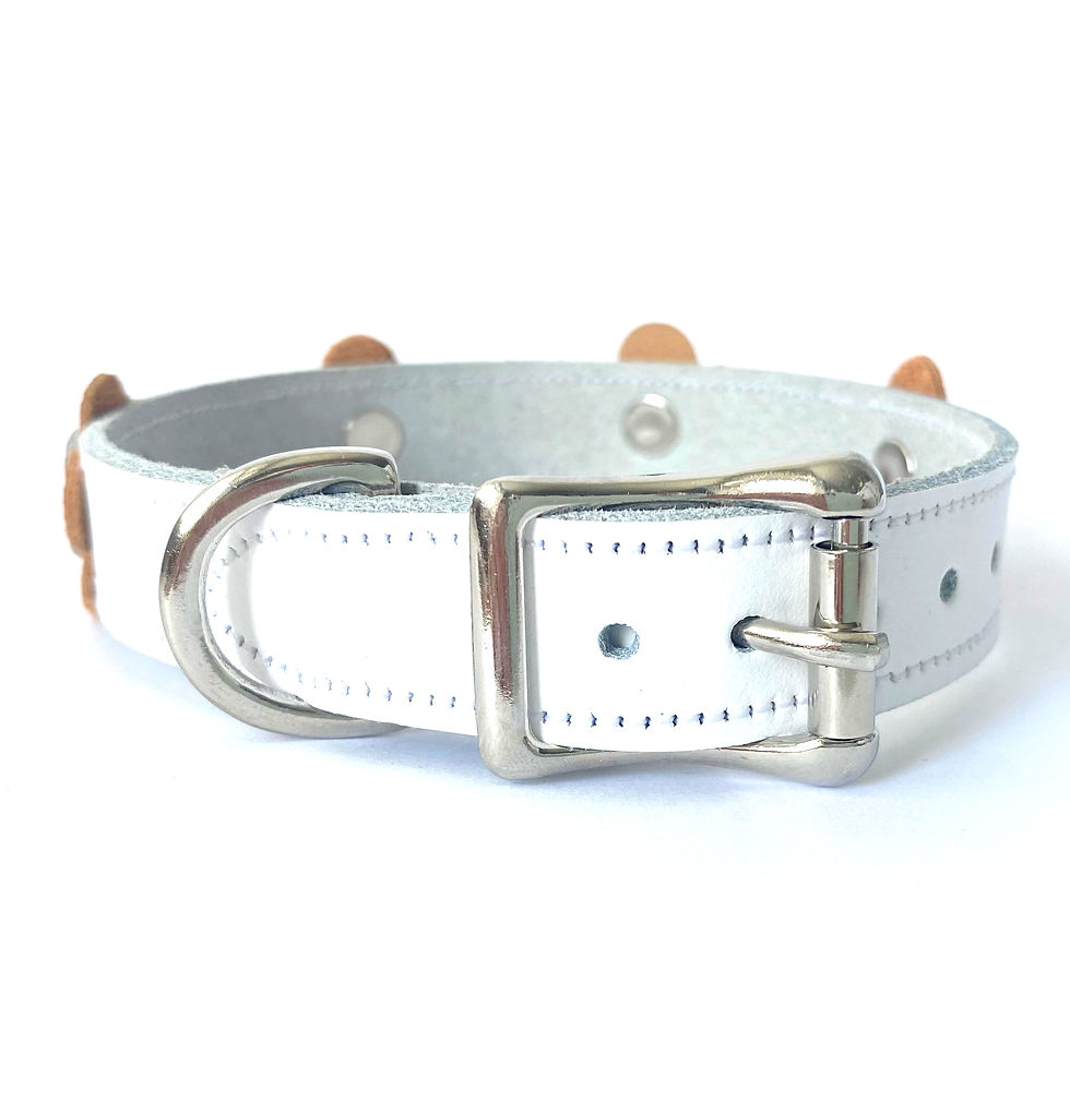 Thumbnail: Flower Dog Collar - Orange & White