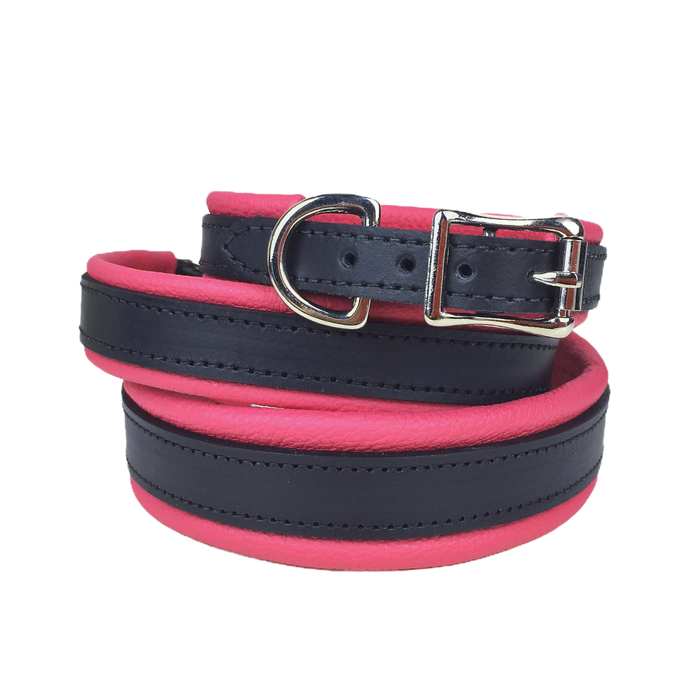 Padded leather dog collar
