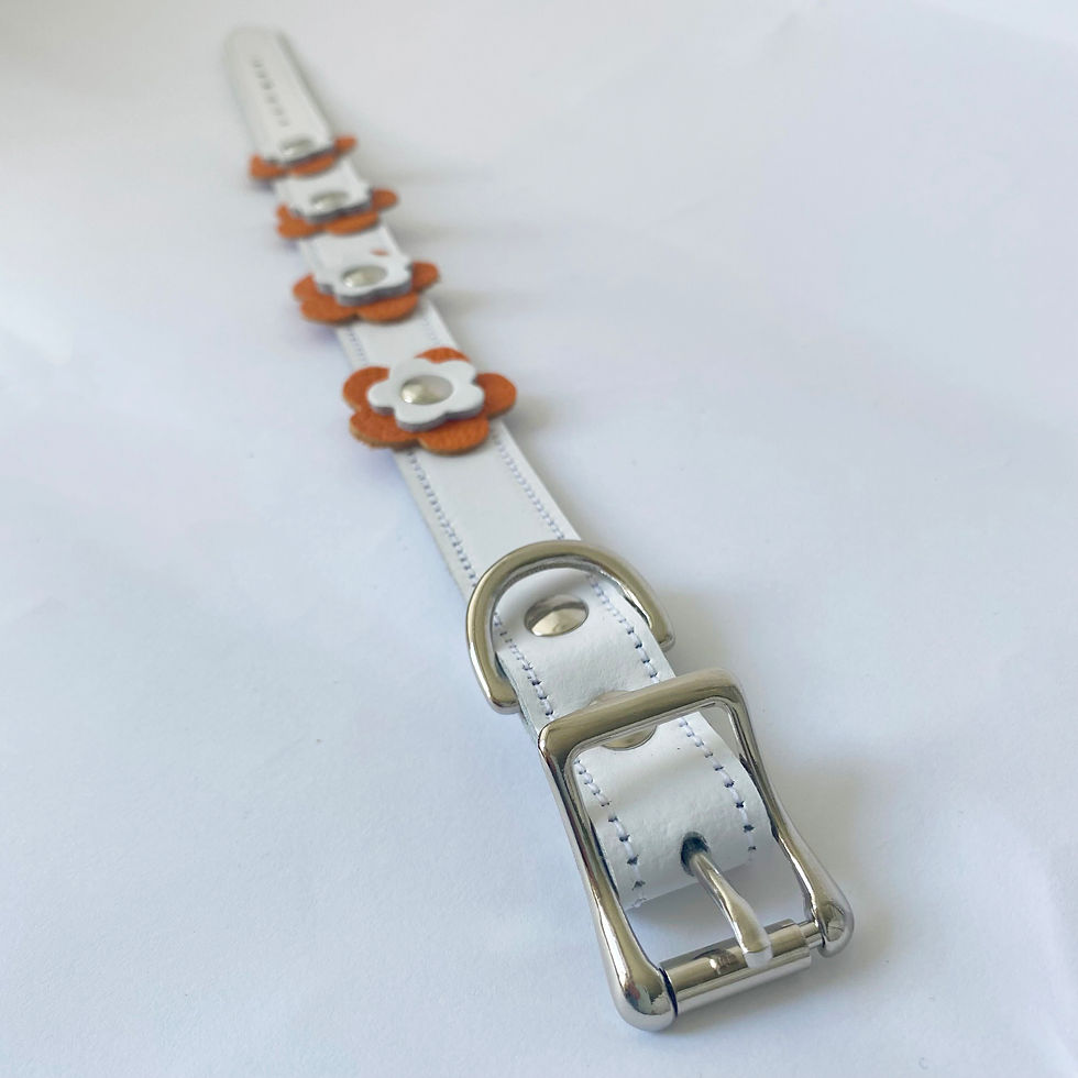 Thumbnail: Flower Dog Collar - Orange & White