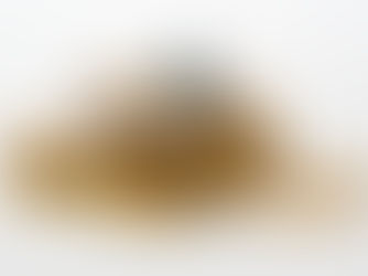 The Hidden Costs of Property Development (and How to Manage Them)