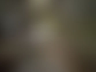 Commercial to Residential Conversions: Risks, Rewards and Planning Considerations