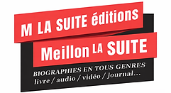 Newlogo Hervé meillon.png