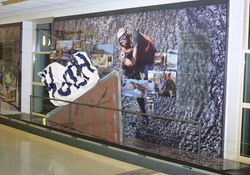 Humanitarian Efforts