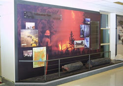 Humanitarian Efforts