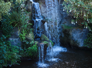 Adventures: LA Arboretum & Botanic Garden