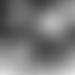 Jan Michael & Krysta Rosner