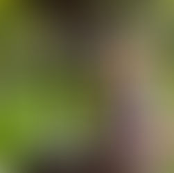 Sarinea // Photoshoot