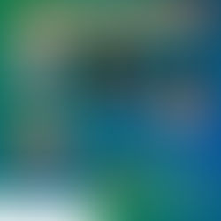 Maio, mês da África: Reflexões sobre educação, currículo e igualdade racial.