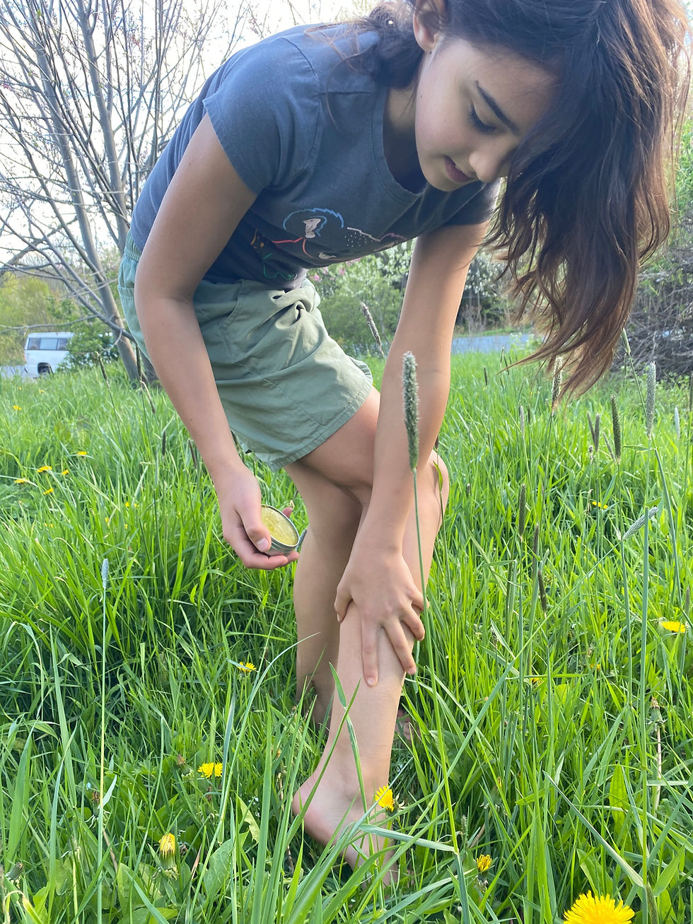 Thumbnail: Yard Balm