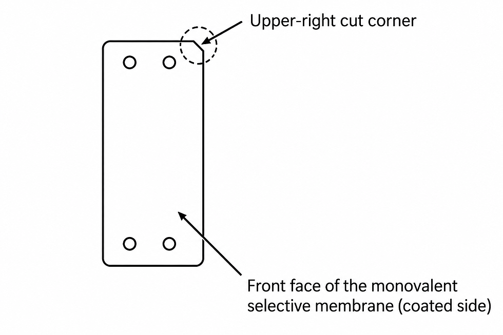 Front face of the monovalent selective membrane
