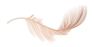 gold-feather.png