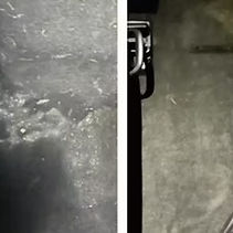 Car Detailing Mold Removal - Sacramento, CA