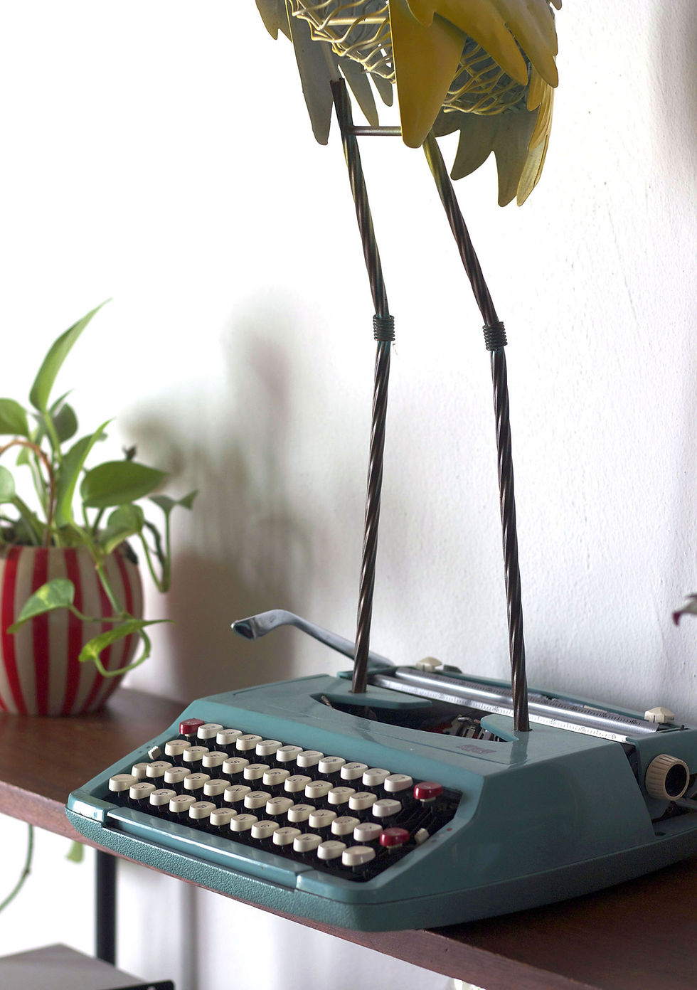 Thumbnail: WRITE YOUR DREAM 1/1