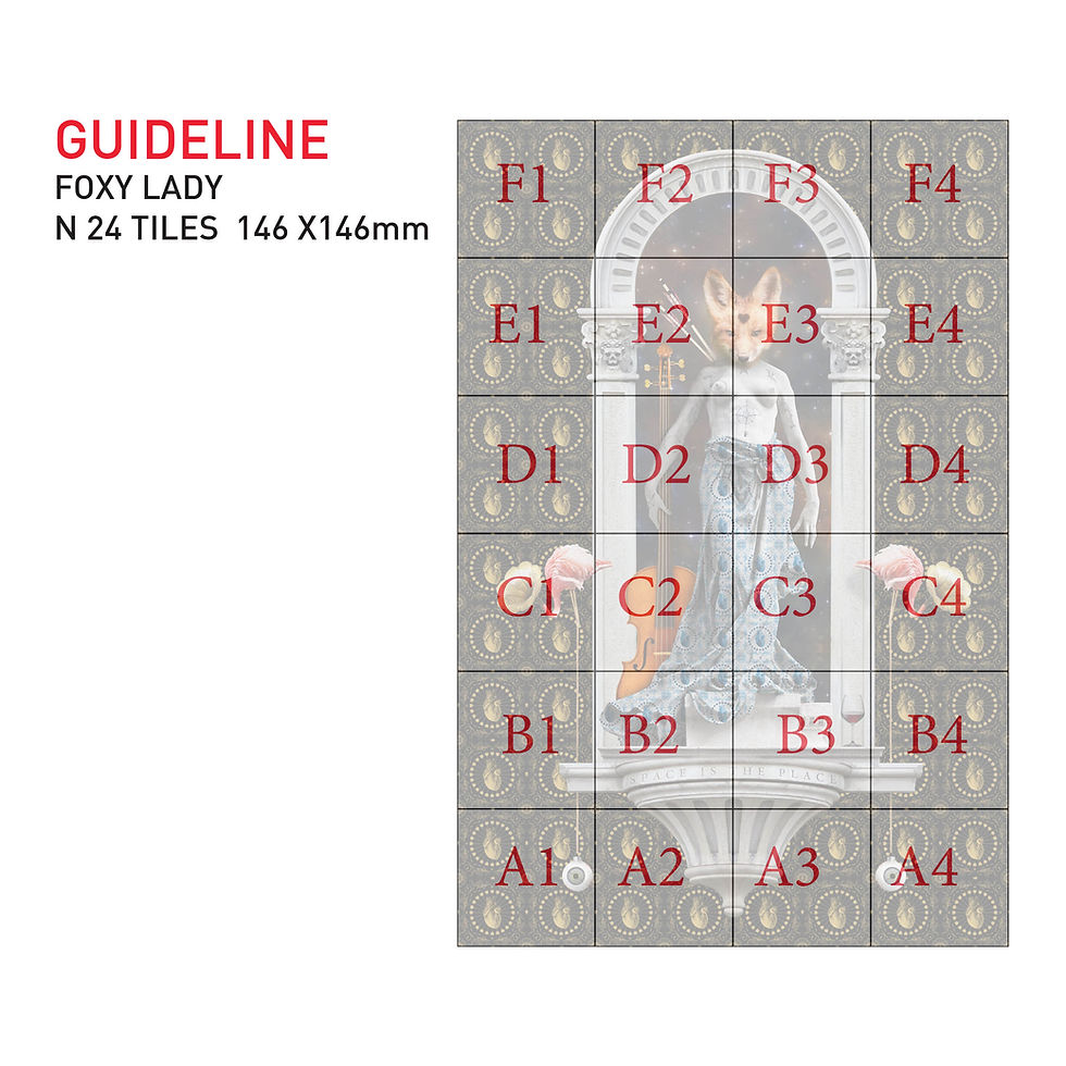 Thumbnail: Foxy Lady DIY installation guide showing the correct layout of the 24 ceramic tiles