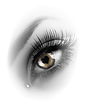 pngwing.com (7) (1).webp