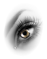 pngwing.com (7) (1).webp