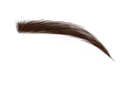бровь (2).webp