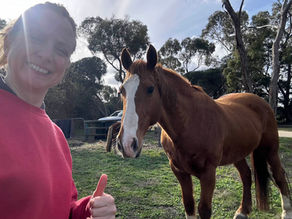 The retreat you really need (Silly Season series 2 of 3)