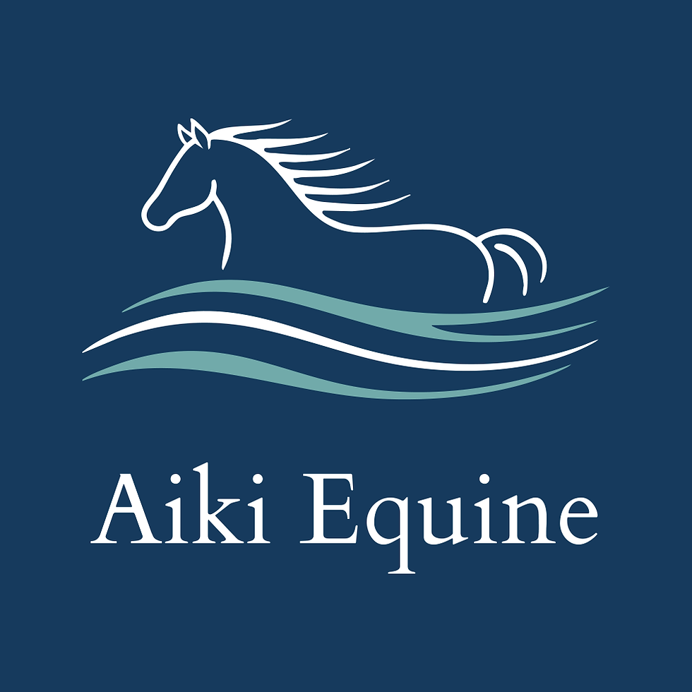 Aiki Equine - logo - White and Aqua - navy back.png