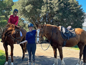 What happens when we stop pushing (Silly Season series 1 of 3)