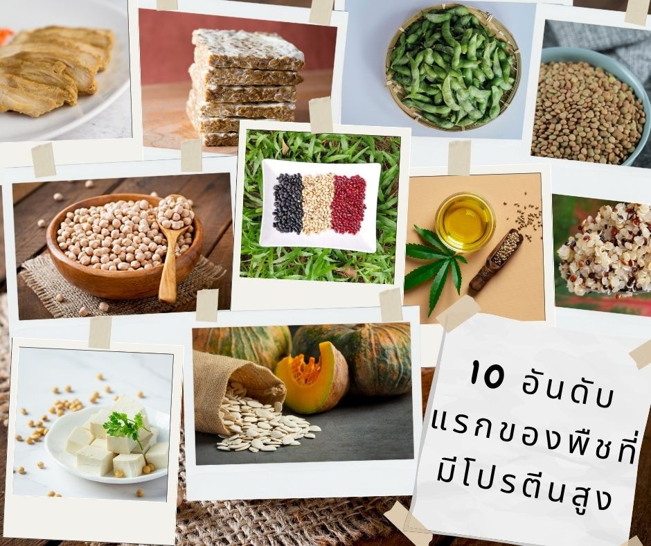 10 อันดับ พืช โปรตีนสูง