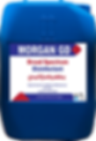 Morgan GD - Foam Disinfectant