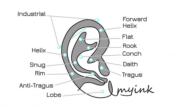 Best Toronto piercing studio shop. Best Toronto piercer. Ear piercing placement chart MY Ink Tattoo Studio Toronto tattoo and piercing shop. Industrial piercing, helix, forward helix, flat, rook, conch, daith piercing, tragus piercing, snug, rim, anti-tragus, lobe piercing, earlobe piercings