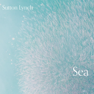 Sutton Lynch photography
