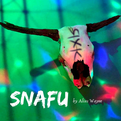 1 snafu album cover copy_edited.jpg