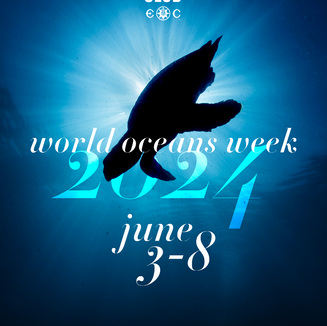 World Oceans Week! June 3- 8, 2024