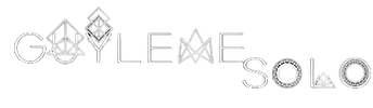 Guylene Solon Wix Pro Expert Web Designer