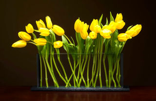 Blumen H5 Glass Horizontal Vase