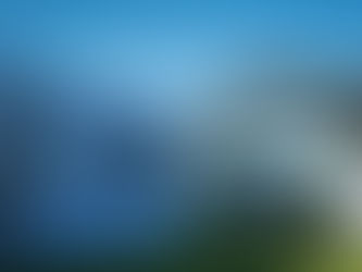 Living Seawalls is designed to benefit both humans and nature